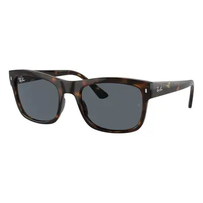 Ray-Ban RB4428 710/R5 - ONE SIZE (56)