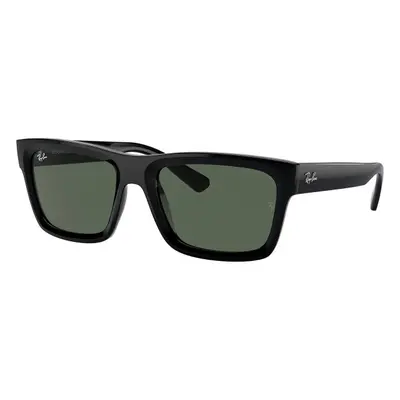 Ray-Ban Warren RB4396 667771 - M (54)