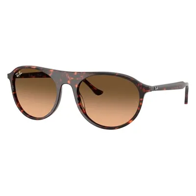 Ray-Ban RB2215 14293B - M (56)