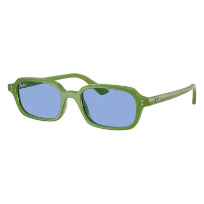 Ray-Ban Zuri RB4455 681080 - L (52)