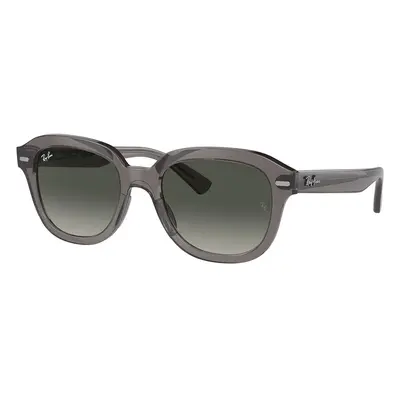 Ray-Ban Erik RB4398 667571 - L (53)