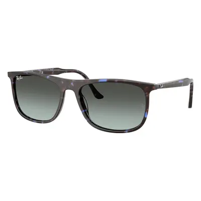 Ray-Ban RB2216 1430GK - M (58)