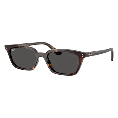 Ray-Ban Zaya RB4456 135987 - L (53)