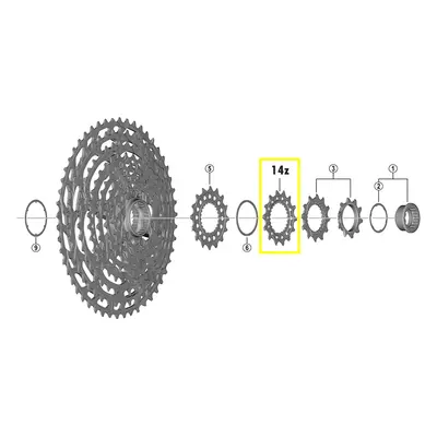 Pastorek Shimano CS-M9100 14z