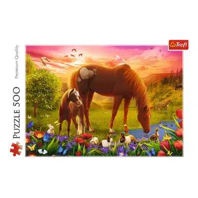 Trefl Puzzle 500 - Koně na louce