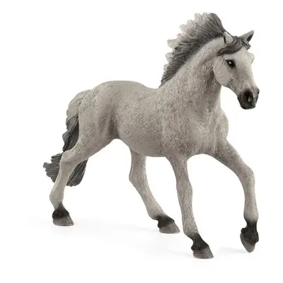 Schleich Hřebec Sorraia Mustang