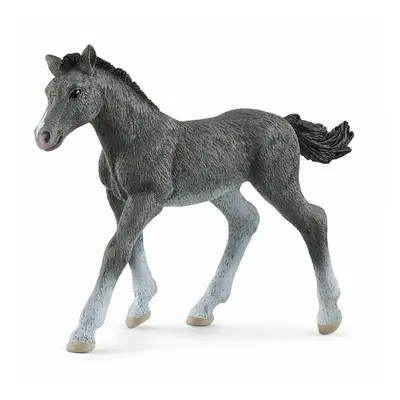 Schleich Hříbě koně trakénského