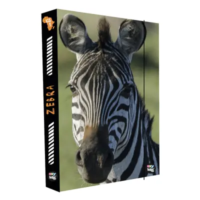 Box na sešity A4 Jumbo Zebra