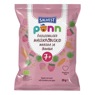 SALVEST Ponn BIO Křupky jahodové 20 g