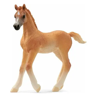 Schleich Arabské hříbě