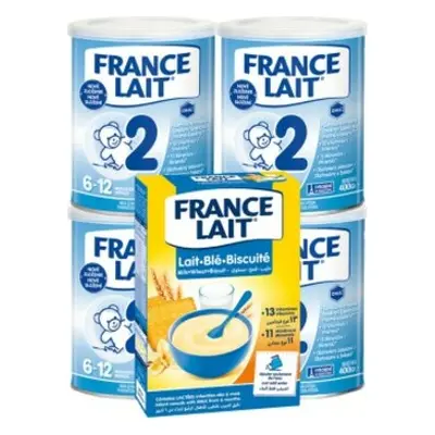 France Lait 2 následná mléčná kojenecká výživa od 6-12 měsíců 4x400g + Pšeničná mléčná