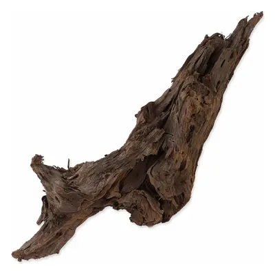 Dekorace Repti Planet Kořen DriftWood Bulk L 35-55cm