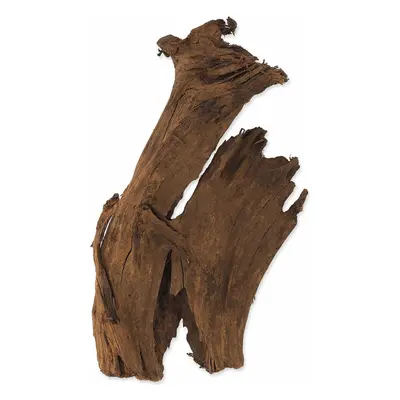 Dekorace Repti Planet Kořen DriftWood Bulk M 29-36cm