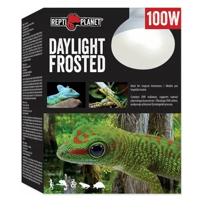 Žárovka Repti Planet Daylight Frosted 100W