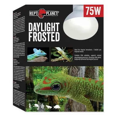 Žárovka Repti Planet Daylight Frosted 75W