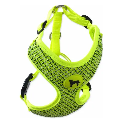 Postroj Active Dog Mellow S limetka 1,5x35-47cm