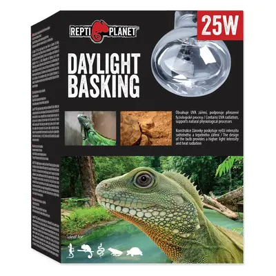 Žárovka Repti Planet Daylight Basking Spot 25W