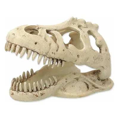 Dekorace Repti Planet T-REX lebka 13,3x8,5x9cm