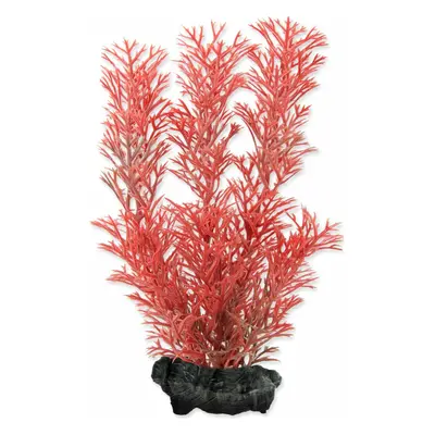 Dekorace Tetra Rostlina Foxtail Red S 15cm