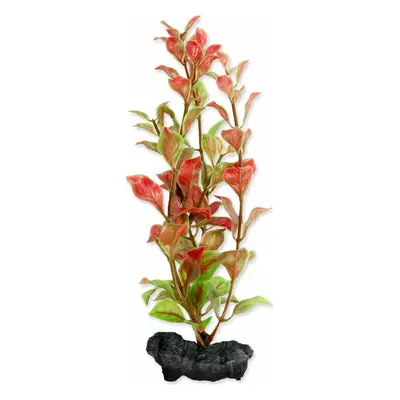 Dekorace Tetra Rostlina Red Ludwigia S 15cm