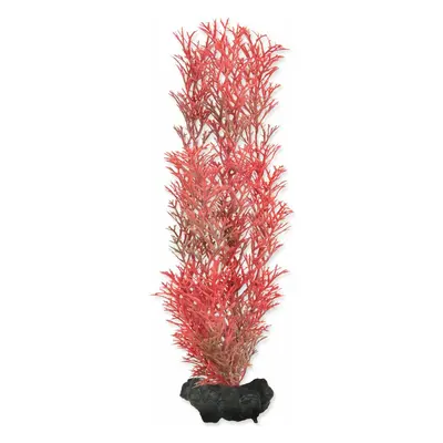 Dekorace Tetra Rostlina Foxtail Red M 23cm