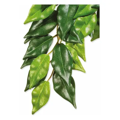 Dekorace Exo Terra Rostlina textil Ficus střední