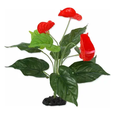 Dekorace Repti Planet Rostlina kvetoucí Anthurium 40cm