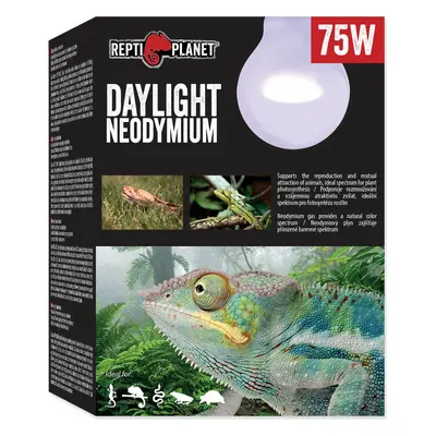 Žárovka Repti Planet Daylight Neodymium 75W