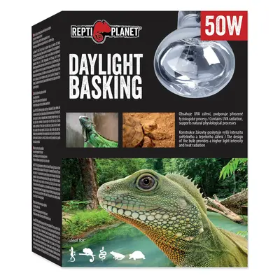 Žárovka Repti Planet Daylight Basking Spot 50W