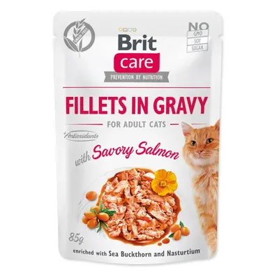 Kapsička Brit Care Cat losos, filety v omáčce 85g