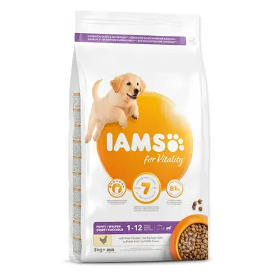 IAMS Dog Puppy Large Chicken 3kg