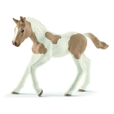 Schleich Zvířátko - Hříbě plemene Paint Horse