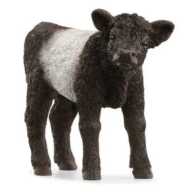 Schleich Gallowayské tele