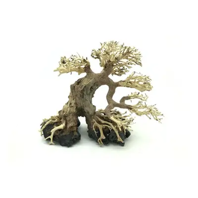 Bonsai Driftwood 30 x 25 x 26 cm č. 28