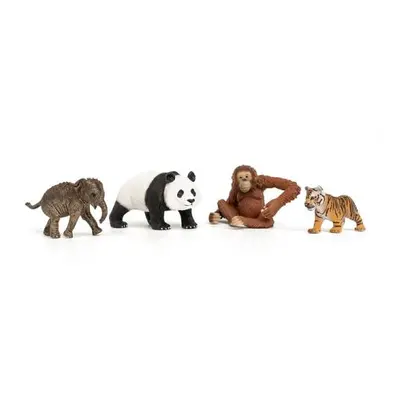 Schleich Startovací set Wild Life Asie