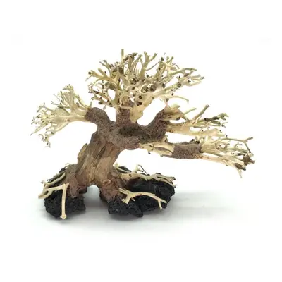 Bonsai Driftwood 20 x 15 x 16 cm č. 28