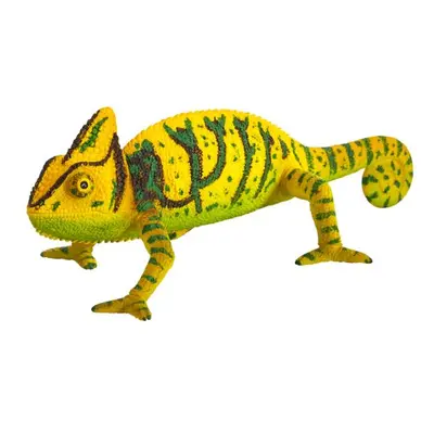 Mojo Chameleon