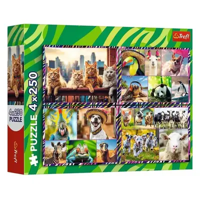 Trefl Puzzle 4 x 250 Zábavné zvířátka