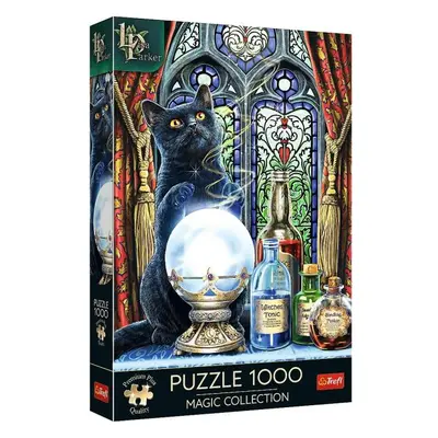 Trefl Puzzle Magic Collection 1000 Čarodějnický učeň