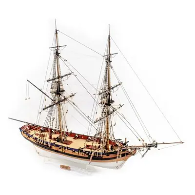 Vanguard Models HMS Flirt 1782 1:64 kit