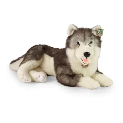 Plyšový pes husky ležící 60 cm ECO-FRIENDLY