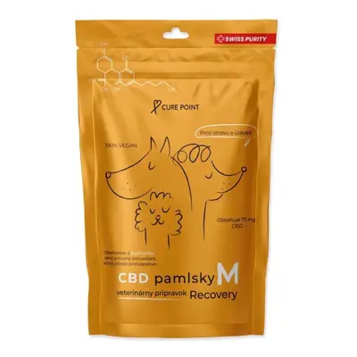 Pamlsok CBD Recovery M 100g