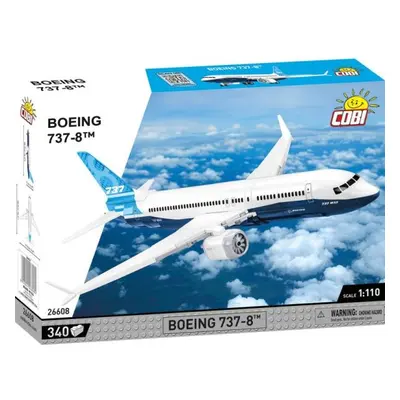 Boeing 737 Max 8, 1:110, 315 k