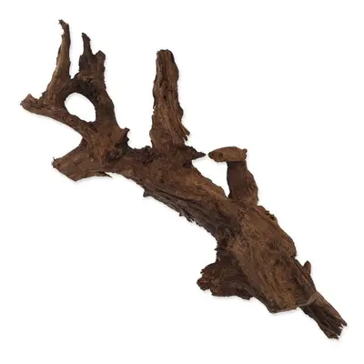 Dekorace Repti Planet DriftWood Bulk XL 55-100cm