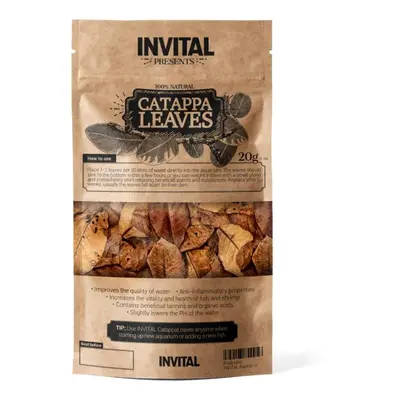 INVITAL CatappaLeaves 20g listy mandlovníku