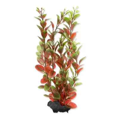 Dekorace Tetra Rostlina Red Ludwigia M 23cm