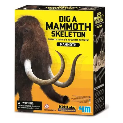 Skelet - Mamut