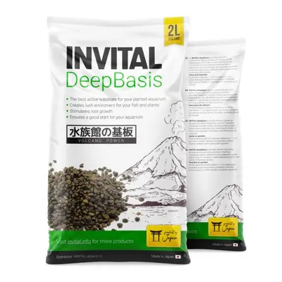 INVITAL DeepBasis 2l