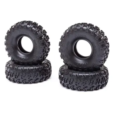 Axial pneu 1.0" Rock Lizards (4): AX24