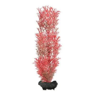 Dekorace Tetra Rostlina Foxtail Red M 23cm